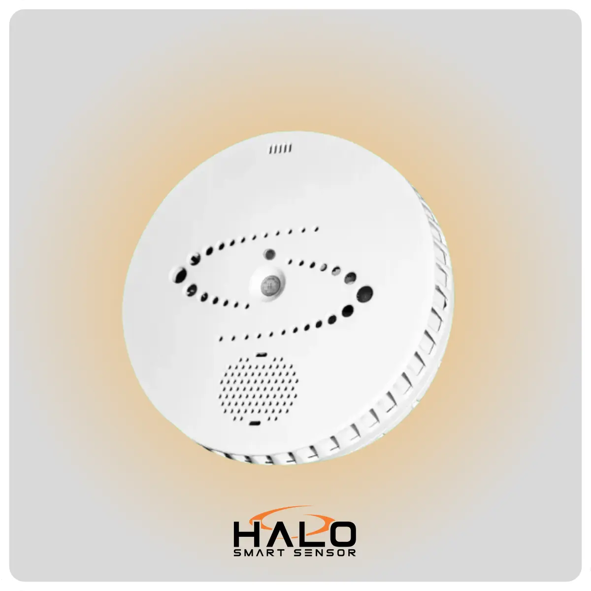 florida department of education logo